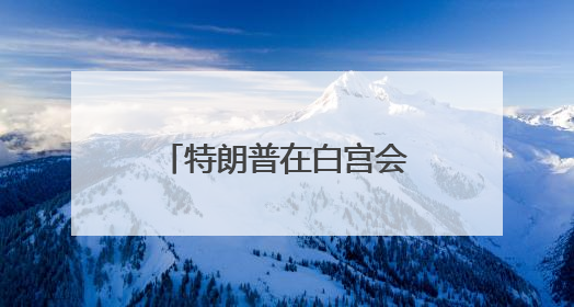 特朗普在白宫会见鲍威尔 讨论经济发展情况